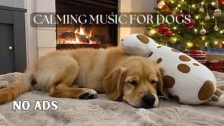 12 HOURS of Relaxing Music For Dogs🎵Anti Separation Anxiety Relief 🐶 Pet music🦮 No Ads