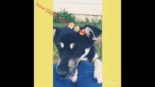 Miss bubbles  first video