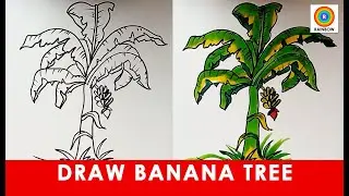 HOW TO DRAW BANANA TREE FOR BEGINNERS | EAZY BANANA TREE DRAWING STEP BY STEP #RAINBOW