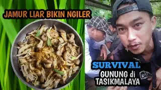 PANEN JAMUR LIAR AUTO NGILER #hunting #survival #jamurliar #masakdigunung