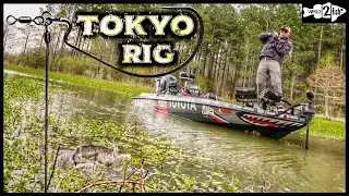 Tokyo Rig Fishing: 5 Benefits Over Texas Rigging