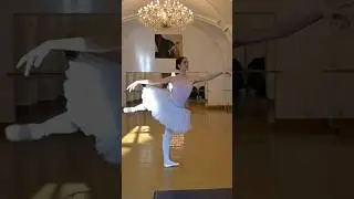Lavoro quotidiano🩰💪🏻 #ballet #ballerina #praga #dance #dancer #balletdancer #tutu #danza