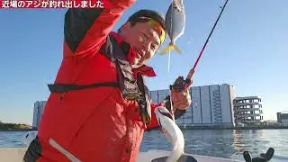 横浜発　マリーナ近場のアジはじまりました