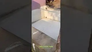 Water system cleaning #farming #cow #trendingshorts #trending #viralshorts #viral