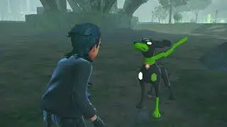 Catching Zygarde (Success)
