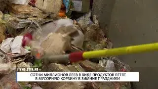 СОТНИ МИЛЛИОНОВ ЛЕЕВ В ВИДЕ ПРОДУКТОВ ЛЕТЯТ В МУСОРНУЮ КОРЗИНУ В ЗИМНИЕ ПРАЗДНИКИ