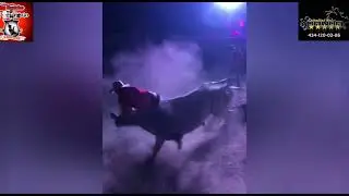panda de patz  vs zarape  R. el tri&aacute;ngulo del ING bustos  P. faro de bucerias