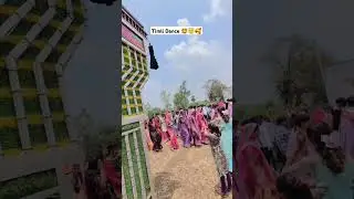 rajasthani dj dance 4k #timli #dance #timlidance #shorts #short