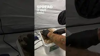 Refilling the Mother Nature CO2 Generator. Get up to 6 MONTHS of CO2 for your grow tent!