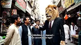 Pakistani Bazaar Mein Suit Pehna Sher! 🦁 | WildMind AI Reaction