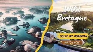 🏝️Golfe du Morbihan | Winter Aerial Tour | Brittany, France 🇫🇷.