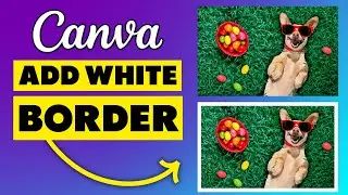 How to Add a White Border Around an Image in Canva