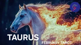 TAURUS,  Stable Long-term Commitment! DIVE IN! It's a Blessing! FEBRUARY TAROT