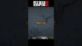 You can find MONEY hidden in a tree hollow - Red Dead Redemption 2 #arthurmorgan #rdr2 #gaming
