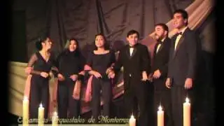 Ars Viva - Negro Bembón