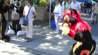 Fursuit Fun at Bothell Riverfest 2011
