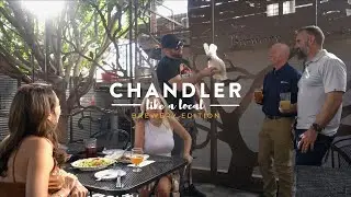 Chandler Like a Local: Brewery Edition