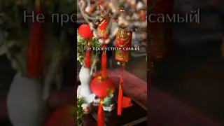 С Новым годом дракона! Подпишись @egorovatatyana #energy #newyear #magic #dragon #goodvibes