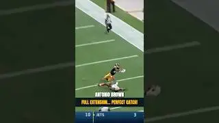 Antonio Brown Dove Like Superman for this Touchdown!