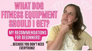 What Dog Fitness Equipment Should I Get