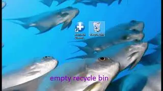GoPro data recovery software to recover deleted mp4 from GoPro