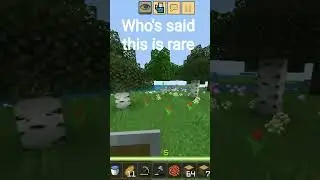 who's said this is a rare 😂😂 #shorts #minecraft