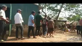 cong chi&ecirc;ng lang gr&ocirc;n phan 2(sontv,)