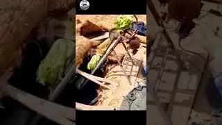 Smart jugaad for farming | #tech #shorts #farming