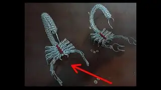 ARTE EN ALAMBRE_COMO HACER UN ESCORPIÓN