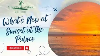 What&rsquo;s New at Sunset At The Palms
