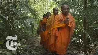 A Threat to Cambodia's Sacred Forests | Op-Docs | The New York Times