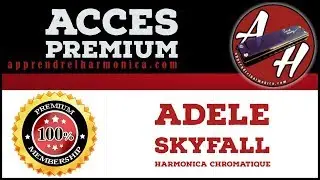 Skyfall - Adele - Harmonica chromatique