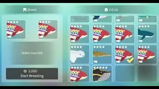 This Secret Duplicate Glitch In Fishing Life Is OP