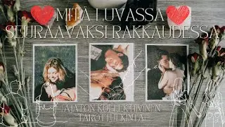 💌✨💕MITÄ ON SEURAAVAKSI LUVASSA RAKKAUDESSA? 💕✨💌