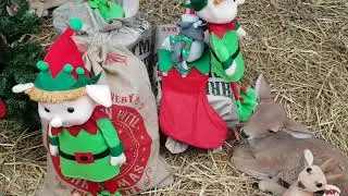 Christmas at garden centre, cute singing reindeers(part 1)