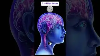 The Human Brain&rsquo;s Capacity #facts #brain #shorts