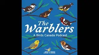 The Year in Birds: Canadian bird and birding highlights from 2021