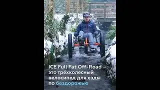 Трёхколёсный велосипед для езды по бездорожью.