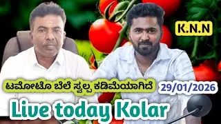 Live today Kolar #tomato rate  29/01/2026 || #ಕೋಲಾರ ಟಮೋಟ ಮಾರ್ಕೆಟ್ ಇವತ್ತಿನ ರೇಟ್ ಎಷ್ಟುಗೊತ್ತಾ.? 💛❤️