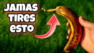 NUNCA M&Aacute;S LOS TIRES! Esta parte de LOS PL&Aacute;TANOS SON JOYAS Para las PLANTAS! Huerto urbano y jard&iacute;n