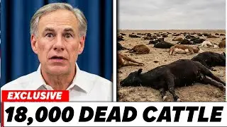 Governor Of Texas PANICS Over Dairy Farm Crisis And Dead Cattle