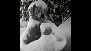 🐶❄SNOWY DOG DAY♡