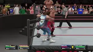 Brand Warfare WWF: DX vs Stone Cold e Dude Love #18