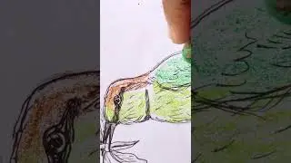 Oil Pastel Color Drawing Tutorial | Part 2| for Beginners#OilPastel #OilPastelArt #shorts #viral&nbsp;