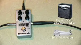 t. c. electronic Rottweiler ( Distortion Pedal ) Review guitar pedals