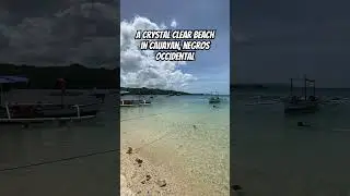 Crystal clear beach in Cauayan,Negros Occidental #fyp #beach #travel #itsmorefuninthephilippines