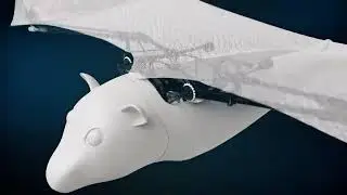 Raposa voadora