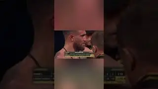Vasily Lomachengko vs David Haney fight