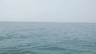 Dolphin Ride at Tarkarli