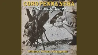 L'acqua ze morta